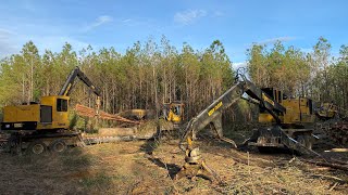 Building a Road For The Next Tract Of Timber