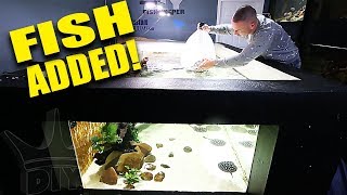 I ADDED THE FISH TO THE 2,000G AQUARIUM!!