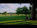 Golden Hour | BMCC 6K Open Gate Dehancer Film