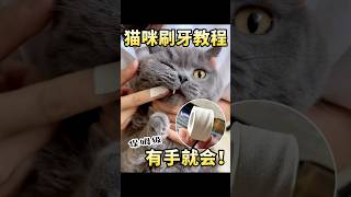 意外发现一个给猫刷牙的好东西！  给猫咪洁牙是一件非常重要但是又极其容易被忽视的事情，要么是猫咪不配合刷牙，看到牙刷就应激，要么是觉得太麻烦实在懒得刷。其实用对工具，猫咪刷牙也可以变得很简单