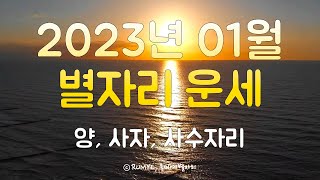 (루미예별자리) 2023년 01월 별자리운세 | 양, 사자, 사수자리