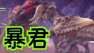 【MHW実況】イビルジョーの縄張り争いが、色々あるらしい！見に行くぅ【モンハンワールド】