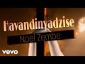 Noel Zembe - Havandinyadzise (Official Audio)