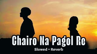 ছাইরো না পাগল রে | Chairo Na Pagol Re | Slowed \u0026 Reverb | Shahrid Belal | Bangla New Sad Song 2025