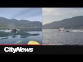 Not a fluke: Calls to restrict jet skis off Vancouver's coast after whale strike