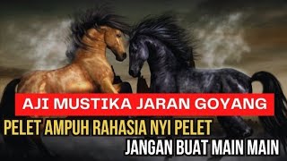 ILMU AJI MUSTIKA JARAN GUYANG