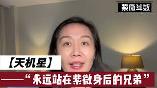 紫微斗数｜天机星：永远站在紫微身后的兄弟！｜命理学