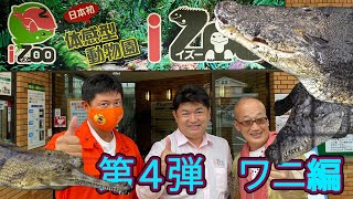 【体感型動物園iZooに潜入！】第４弾〜ワニ編〜