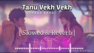 Tanu Vekh Vekh Pyar Kardi ( Slowed & Reverb ) Lofi Remix