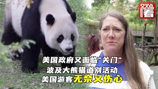 三只旅美大熊猫将回国 道别活动却被美国政府“关门”危机波及 游客们无奈又伤心