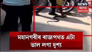 Guwahati News | মহানগৰীৰ ৰাজপথত এটা ভাল লগা দৃশ্য, বন্যপ্ৰাণীৰ প্ৰতি অপূৰ্ব প্ৰেমৰ নিদৰ্শন এজনৰ N18V