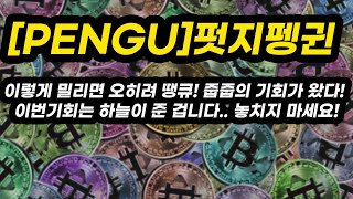 [PENGU]펏지펭귄 투자포인트│이렇게 밀리면 오히려 땡큐! 줍줍의 기회가 왔다! 이번기회는 하늘이 준 겁니다.. 놓치지 마세요!