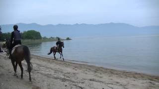 びわこ外乗2015春　男２人の湖岸走り