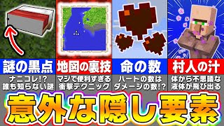 【マイクラ】意外と知らない驚きの隠し要素＆小ネタ【まいくら・マインクラフト】