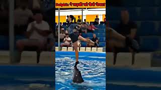 Dolphin ने लडकी को केसे फेंका / like for this talented dolphin #shorts