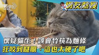 【網友熱搜】懷疑貓生！誤會竹筷為麵條　狂咬到瞇眼：這也太硬了吧｜TVBS新聞