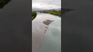 Small muddy surrounded by water and trees #island #water #trees #birds #fish