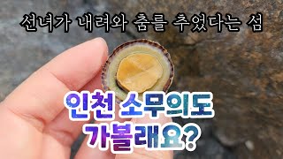 주말 당일치기여행 인천 소무의도 둘레길