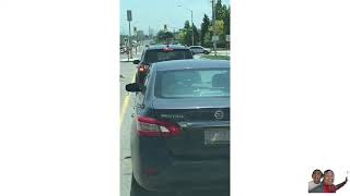 GEESE PARADE TRAFFIC JAM