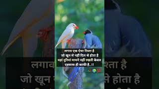 Lagav aek aesa rista he jo khun se nhi dil se banta hai #sad #sadshayari #youtubeshorts #ytshorts