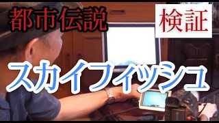 【あなたの知らない世界】都市伝説集 #4「スカイフィッシュ」