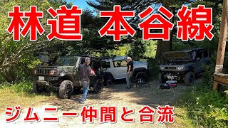 虻だらけ...( ´Д｀;)...林道 本谷線【大阪府岬町】