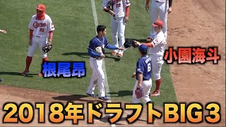 2018年ドラフトBIG3の根尾昂と小園海斗が再会を喜ぶ！