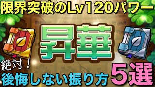 【Lv120】絶対後悔しない！昇華の振り方5選【コトダマン】