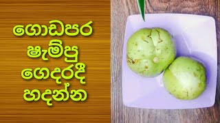 #sandabeauty Diy hair growth godapara shampoo ගොඩපර ෂැම්පු ගෙදරදී හදන්න.