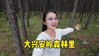 自驾内蒙古第17天，走进大兴安岭的森林里，环境很好可惜有垃圾