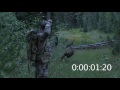 how effective is the frontal shot on elk