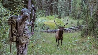 How Effective is the Frontal Shot on Elk?