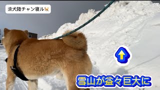 天気予報では、大雪でしたが⁈