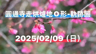 圓通寺走烘爐地O形｜軌跡圖8公里￼￼￼｜9度C｜櫻花｜峯花雪月