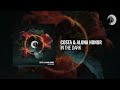 Costa & Aluna Honor - In The Dark [RNM] + LYRICS