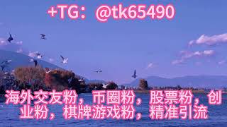 海外引流，认准TG: @tk65490如何高效，精准引流#交友#股票#币圈#电子游戏#商城#引粉#打粉