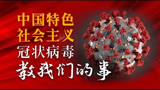 #张伯笠#冠状病毒 中国特色社会主义冠状病毒教我们的事