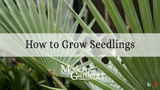 How to Grow Seedlings with Red Butte Garden