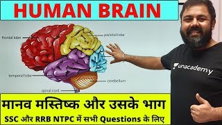 Human Brain & Functioning (मानव मष्तिष्क एवं उसके भाग और सभी कार्य) - SSC 2020, All Government Exams