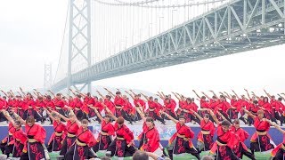 [4K] 早稲田大学“踊り侍”　神戸よさこいまつり 2019 本祭2日目