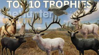 Top 10 Trophies of the Week | theHunter: Call of the Wild | #29