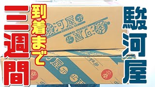 3週間かかったぞ!駿河屋通販 購入品紹介