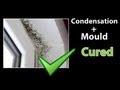 EASY - How to STOP CONDENSATION - Get Rid of Black Mold and Clean Mould EASY - How to STOP CONDENSATION - Get Rid of Black Mold and Clean Mould