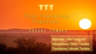 TTT / Tree Traveling Together