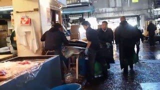 築地市場場内　最後の師走　マグロの解体　２０１５．１２．２８　Tsukiji market hall Tokyo Japan