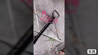 国产中国弓弩 猎豹M4 迷彩猎鹰 大黑鹰弓弩 crossbow 上品户外