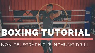 Boxing Tutorial * Non-Telegraphic Punching Drill