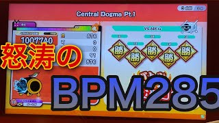 【太鼓の達人 ニジイロver.】 Central Dogma Pt.1 初日全良