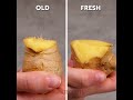 Simple Food-Preserving Hacks You'll Find Extremely Useful