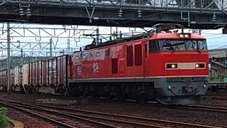 2023.7.8 4076列車 金沢貨物ターミナル到着(EF510-13号機牽引)